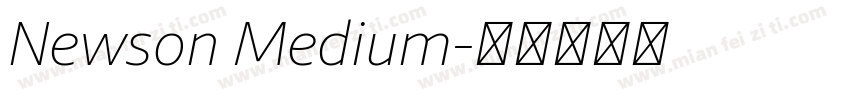 Newson Medium字体转换